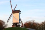 Molen